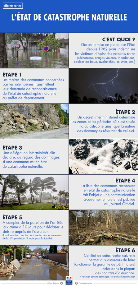 Infographie catastrophe naturelle
