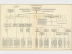 organigramme2