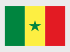 Drapeau Sénégal