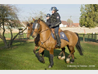 christelle_brigade_equestre