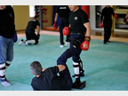 dojo