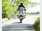 Motard Fontainebleau
