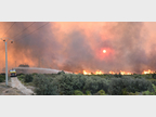 Camion lance incendie