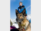 Chien d'avalanche 2 © MI/SG/Dicom/J.Groisard