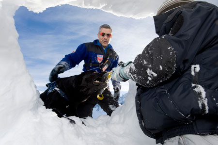 Chien d'avalanche 3 © MI/SG/Dicom/J.Groisard