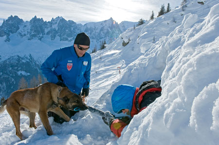 Chien d'avalanche 4 © MI/SG/Dicom/J.Groisard