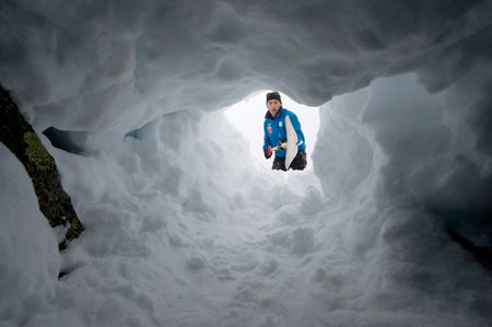Chien d'avalanche 5 © MI/SG/Dicom/J.Groisard