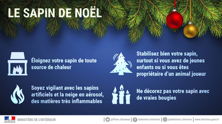 Sapins de Noël