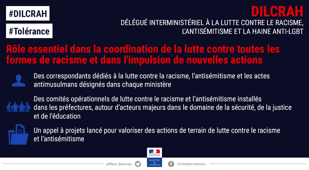 Délégué Interministériel à la Lutte Contre le racisme, l'Antisémitisme et la Haine anti-LGBT (DILCRAH)