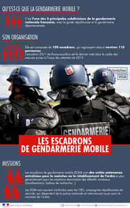 Les escadrons de gendarmerie mobile