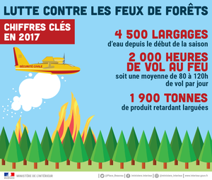 Lutte contre les feux de forêts : chiffres clés en 2017