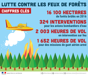 Lutte contre les feux de forêts : chiffres clés