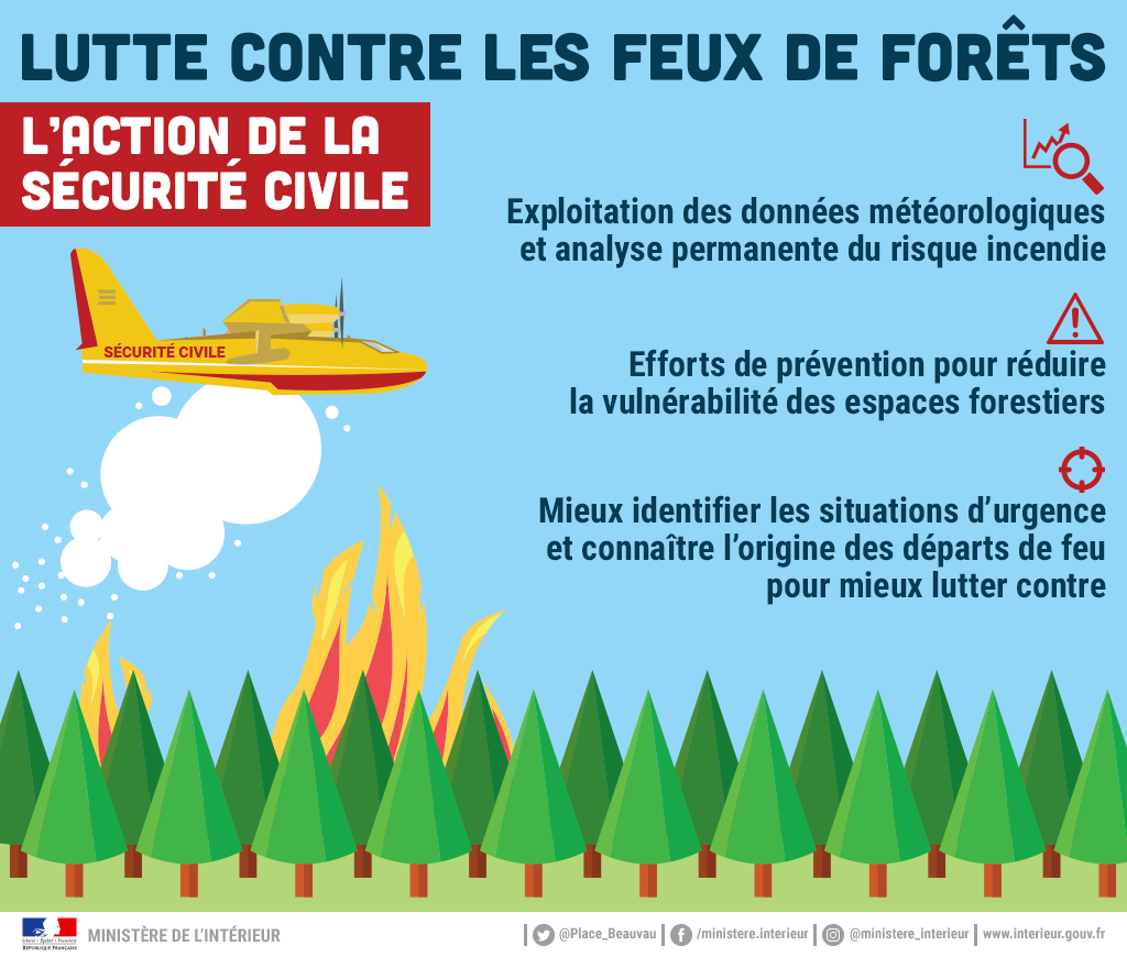 Lutte contre les feux de forêts : l'action de la sécurité civile