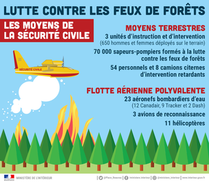 Lutte contre les feux de forêts : les moyens de la sécurité civile