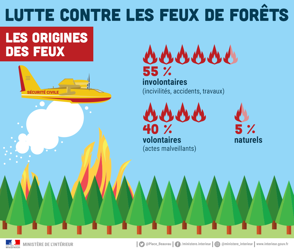 Lutte contre les feux de forêts : les origines des feux