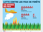 Lutte contre les feux de forêts : les origines des feux
