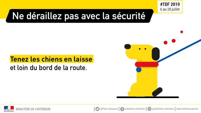 TDF - Chiens en laisse