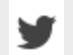 rs-twitter-hover