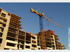 fotolia_grue