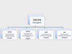Organigramme DRCPN
