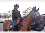 Retrouvez-le-portrait-d-une-policiere-en-brigade-equestre._catcher