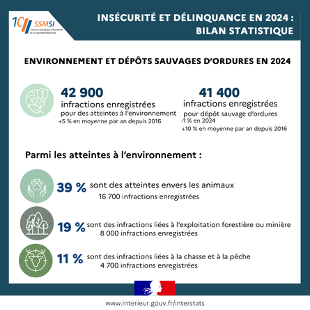 Insécurité et délinquance en 2024 bilan statistique