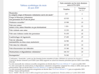 tableau_synthetique