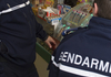 Gendarmerie : lancement de l’expérimentation des « Brigades territoriales de contact »