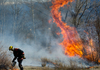 Les forces de sécurité civile engagées dans la lutte contre un violent feu de forêt - © MI/Sécurité Civile/J.Bertrand