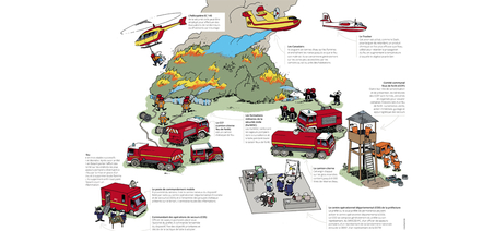 Feux de forêt : les sapeurs- pompiers face aux flammes