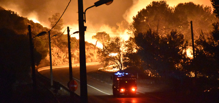 Feux de forêt : une lutte sans merci