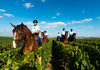 Plan champagne - La gendarmerie veille sur les activités viticoles © MI/Sirpa G/F.Balsamo