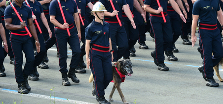 Jennifer, maître-chien à la Brigade des sapeurs-pompiers de Paris