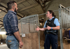 Actes de cruauté sur les chevaux : enquête avec la gendarmerie du Morbihan