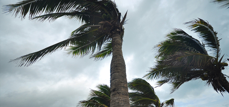 Alerte rouge cyclone sur la Guadeloupe à l'approche de l'ouragan Maria.