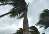 Alerte rouge cyclone sur la Guadeloupe à l'approche de l'ouragan Maria.