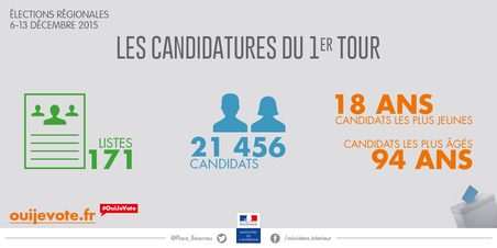 Illustration du profil des candidats aux élections régionales 2015