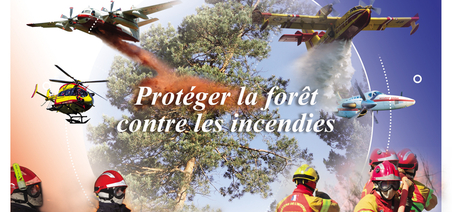 Protéger la forêt contre les incendies
