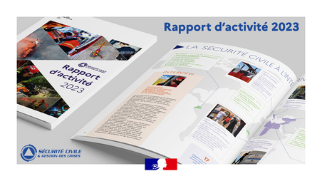 Rapport d'activité de la DGSCGC