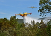Lutte contre les feux de forêts dans le Sud-est et en Corse