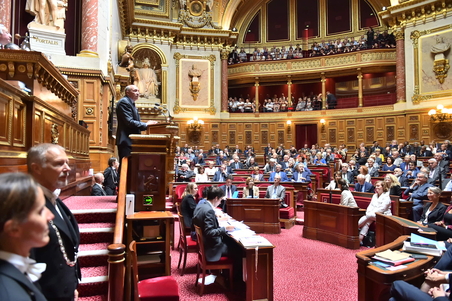 Gérard Collomb devant le Sénat